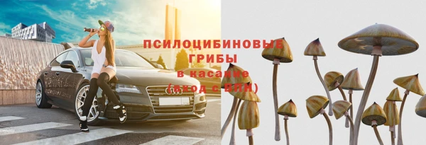 трава Нея