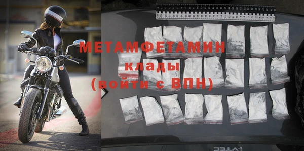 прущие грибы Беломорск